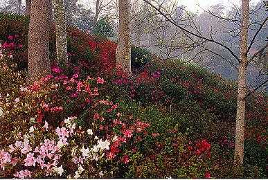 传奇制作人冈本吉起新游策划启动 手游加NFT